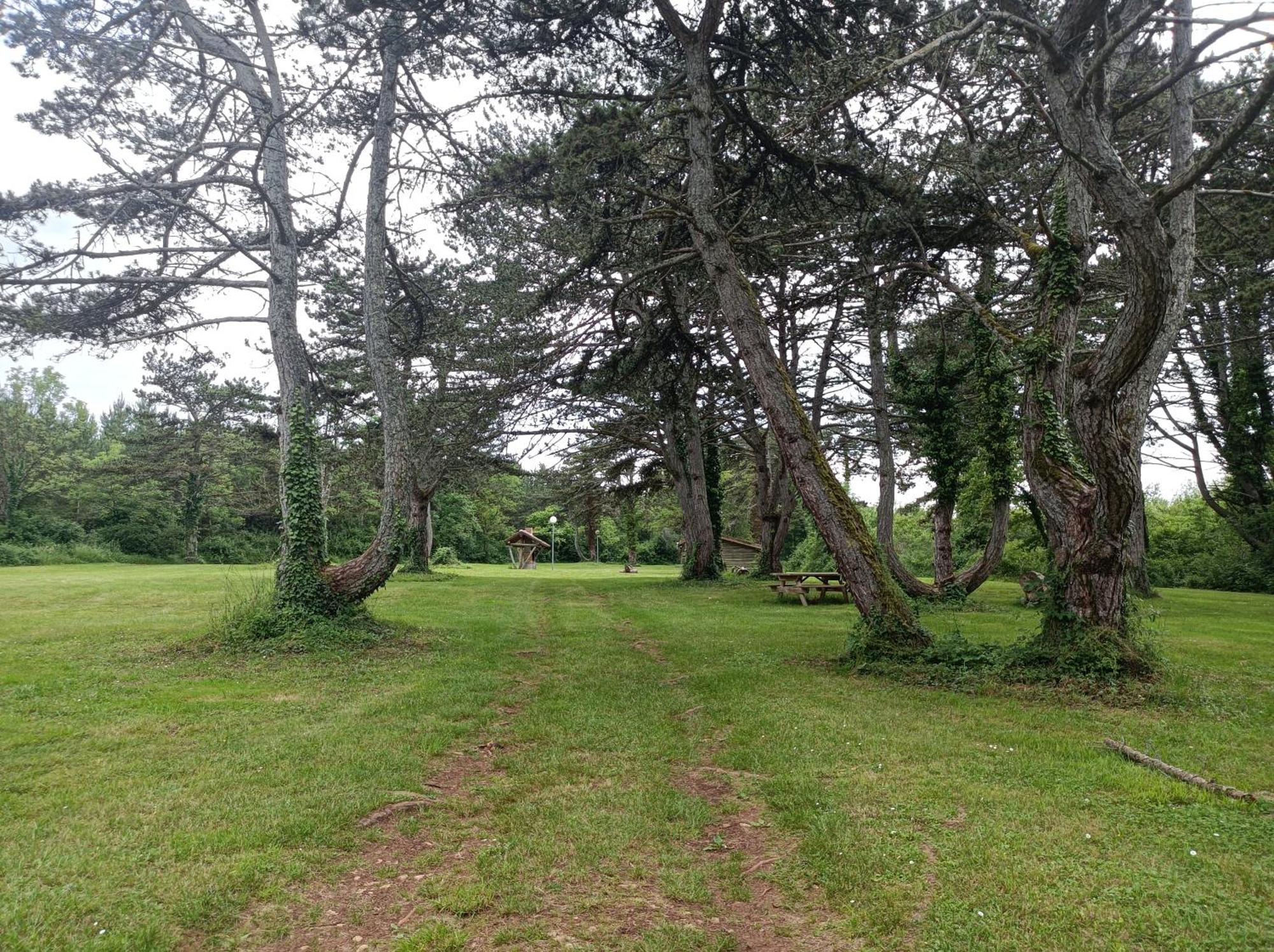 Villa Gite De La Fontaine à Venarey-les-Laumes Extérieur photo